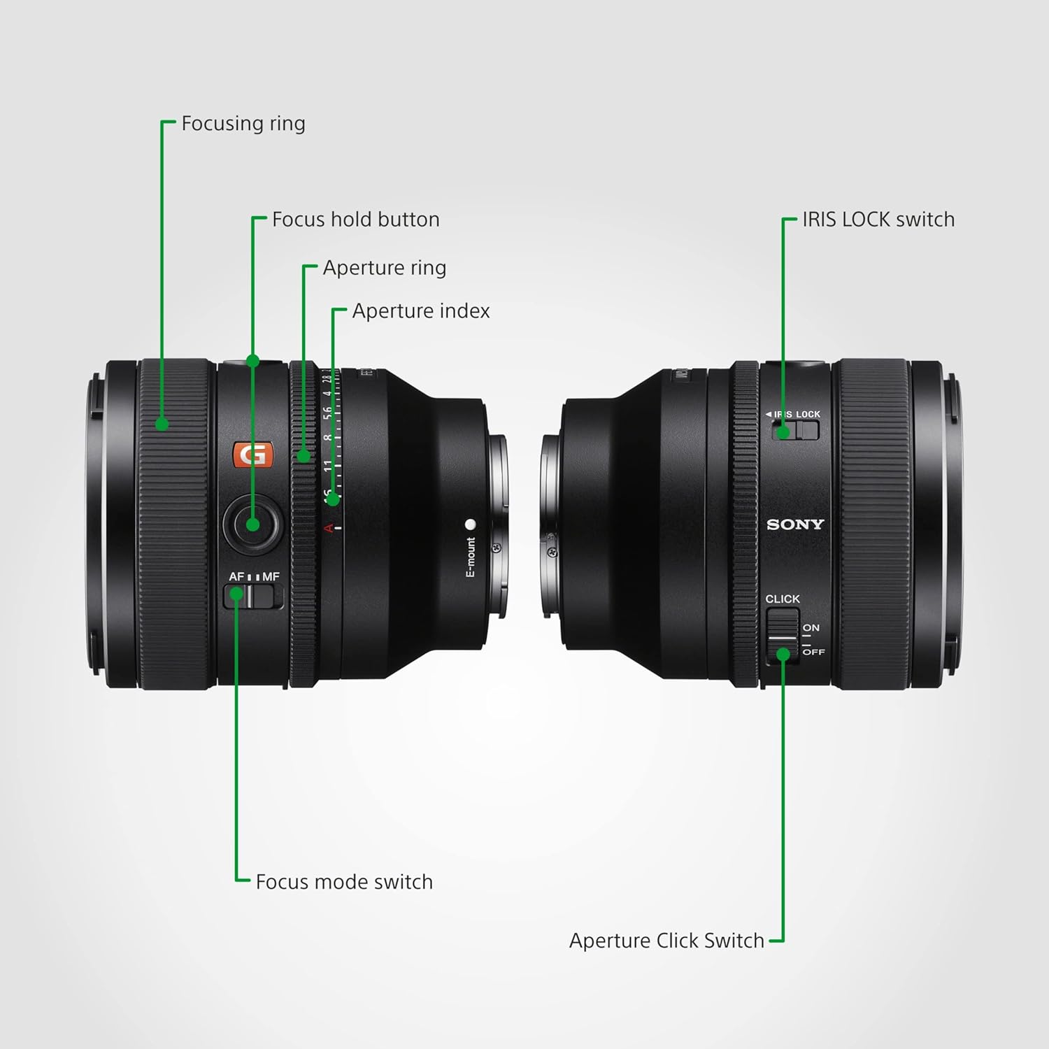 716Xt4sIjgL._SL1500_